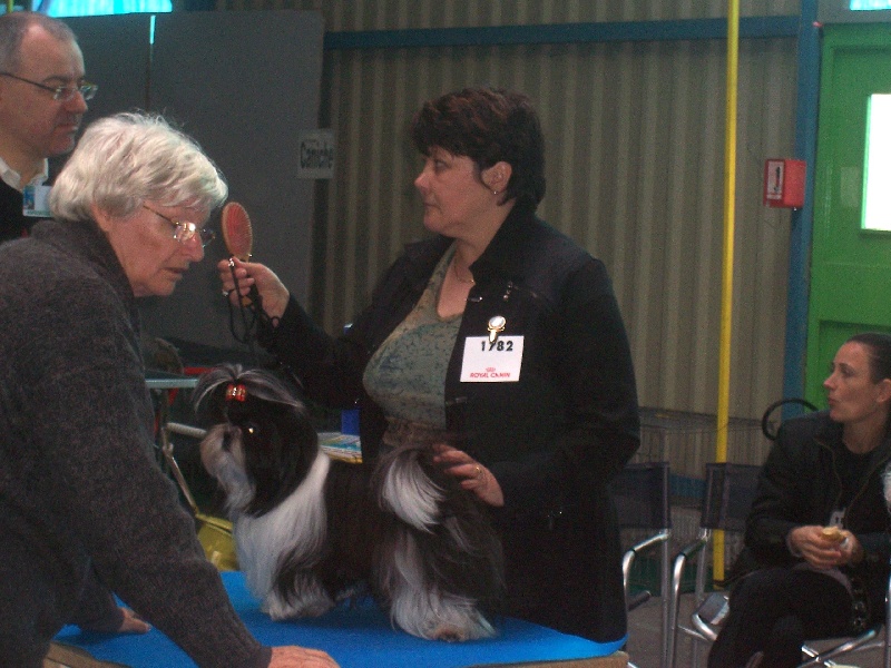 MES CHIENS EN EXPO